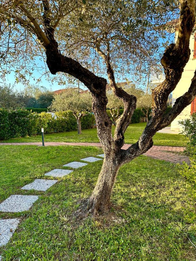 Abitatt Aparthotel Fosdinovo Exteriör bild